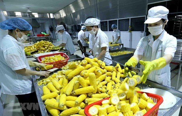 vietnam-main-export-industries-report-2021